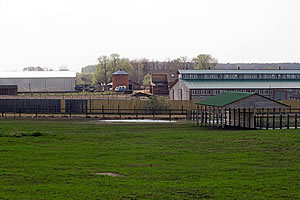 Воронцовский конный завод
